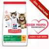 Hills Kitten Tavuklu Yavru Kedi Açık Maması KG SEÇENEKLİ - Thumbnail (1)