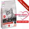 ProPlan Somonlu ve Pirinçli Yetişkin Kedi Açık Mama KG SEÇENEKLİ - Thumbnail (1)
